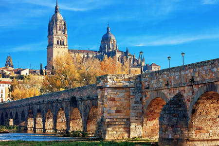 Sikt av den romerska bron och den nya domkyrkan i Salamanca