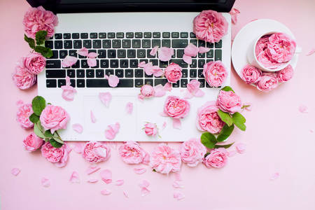 Růže na klávesnici notebooku