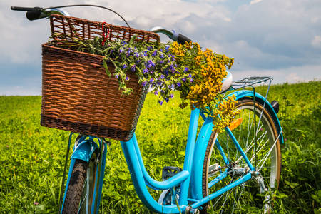 Bicikl sa korpom cveća