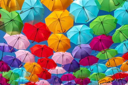 Farebné dáždniky