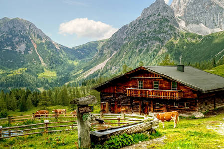 Alpine boerderij