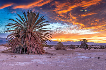 Západ slnka v púšti