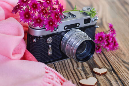 Retro-Kamera und rosa Blumen