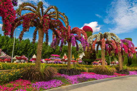 Jardín Milagro de Dubái