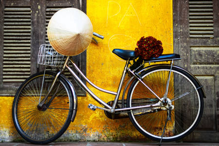 Bicykel s kvetmi a ázijským klobúkom