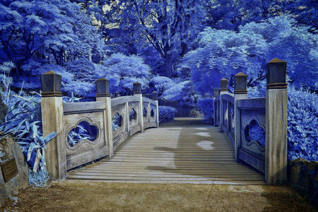 Γέφυρα στο γαλάζιο δάσος