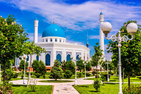 Tașkent