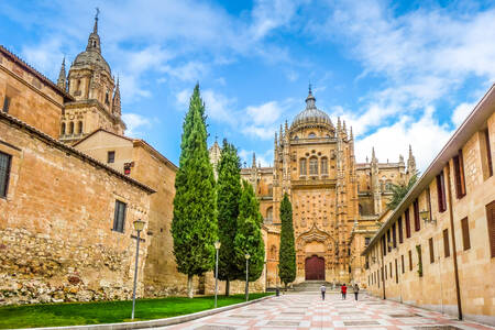 Universitetet i Salamanca