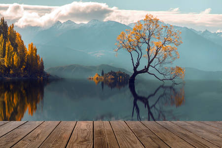 Самотнє дерево озера Ванака