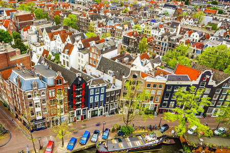 Крыши Амстердама