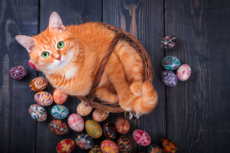 Gatto in un cestino e uova di Pasqua