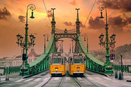 Gula spårvagnar på Freedom Bridge i Budapest