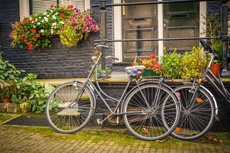 Kerékpárok Amszterdamban