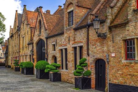 Straat in het oude Brugge