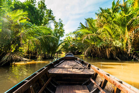 el delta del Mekong