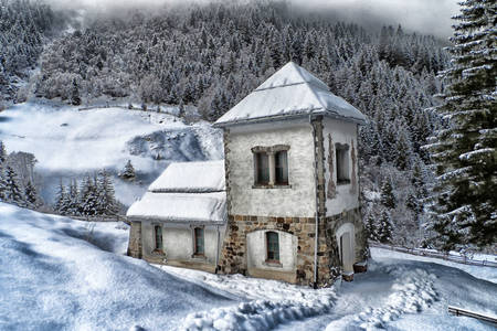Dom w lesie zimą