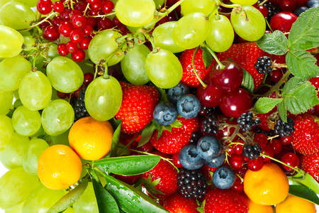 Letnie jagody i owoce