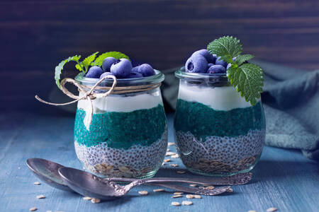 Chia seeds with blueberries