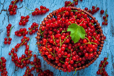 Red currants in a wicker bowl