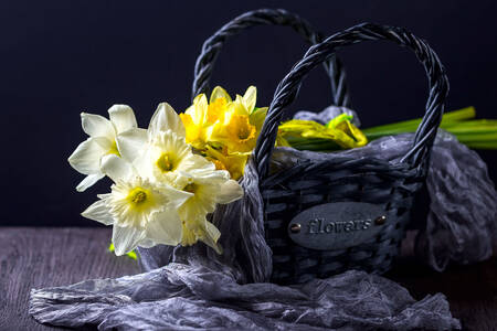 Daffodils in a black basket