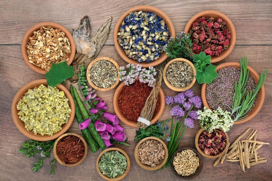 Hierbas y flores medicinales