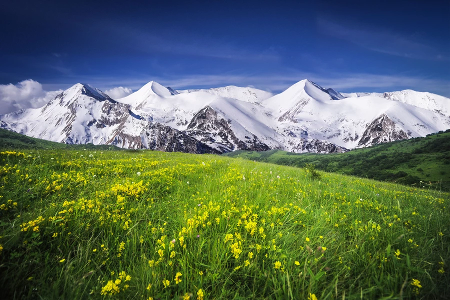 Planine Albanije