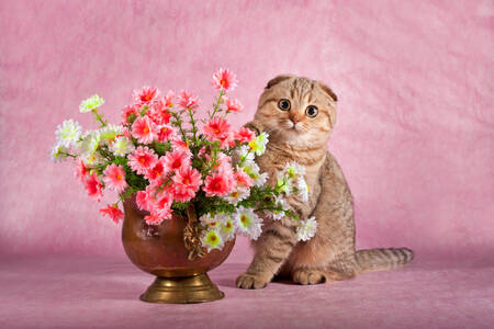 Коте с цветя