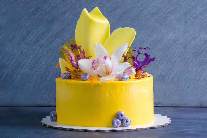 Žltý tvarohový koláč