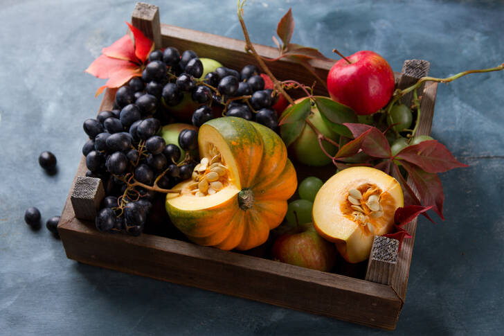 Autumn fruits and vegetables