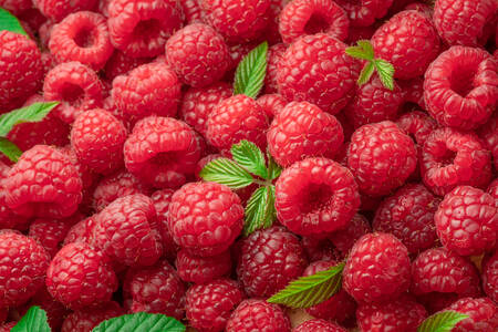 Raspberry dengan daun