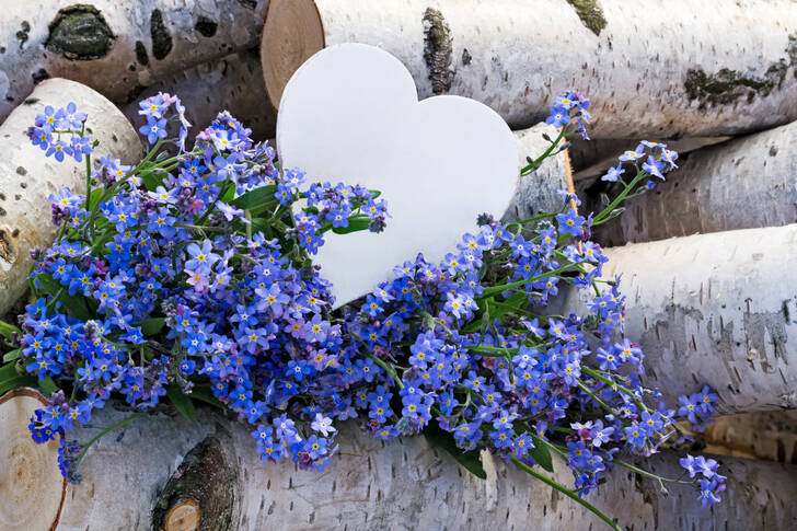 Forget-me-nots and heart