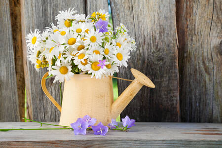 Un bouquet de marguerites dans un arrosoir