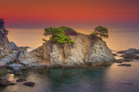Il mare all'alba