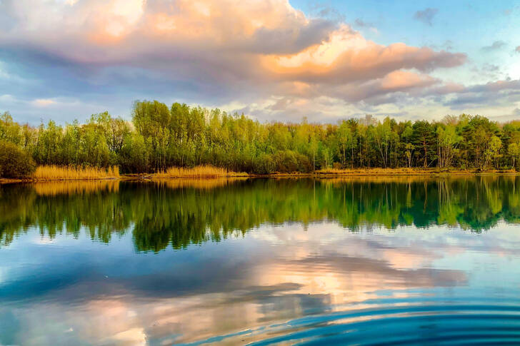 Grünes Ufer rund um den See