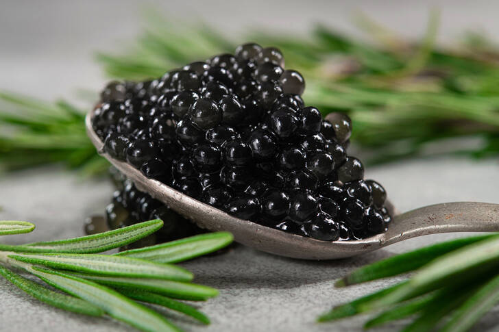 Sort kaviar og rosmarin