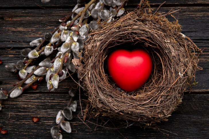 Crveno srce u gnezdu