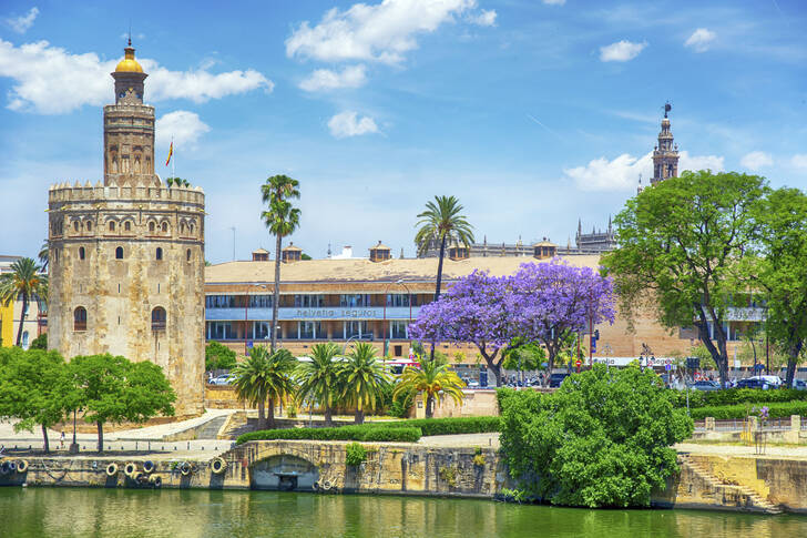 Torre del Oro v Seville, Španělsko