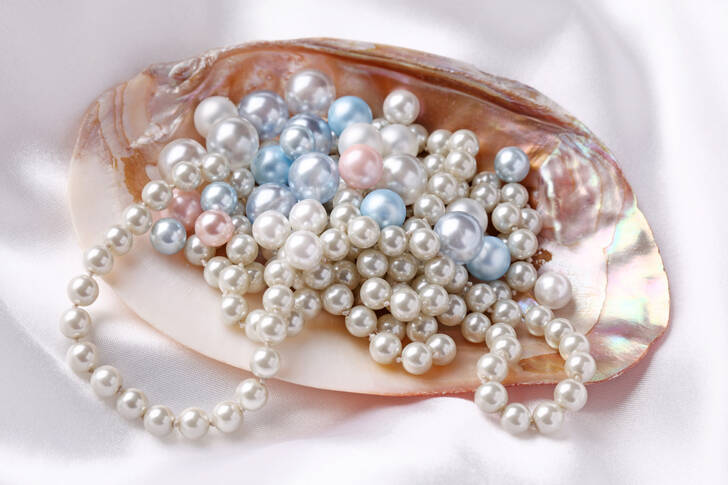 A pearl in a shell on white silk