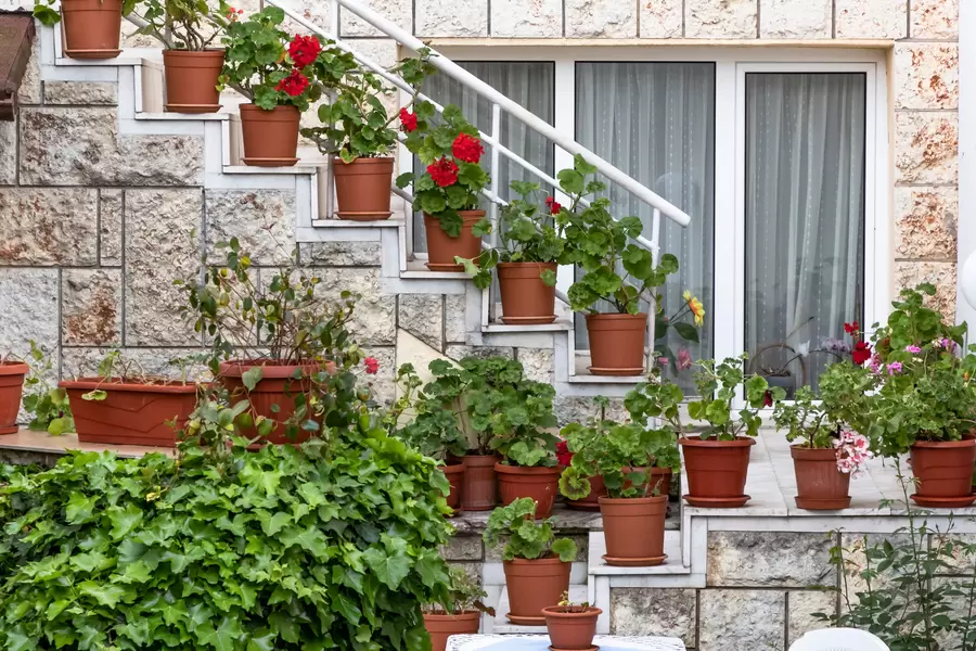 Ljestve s cvijećem u blizini kuće
