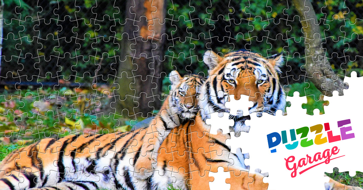 Tigress with tiger cub Jigsaw Puzzle (Animals, Mammals) | Puzzle Garage