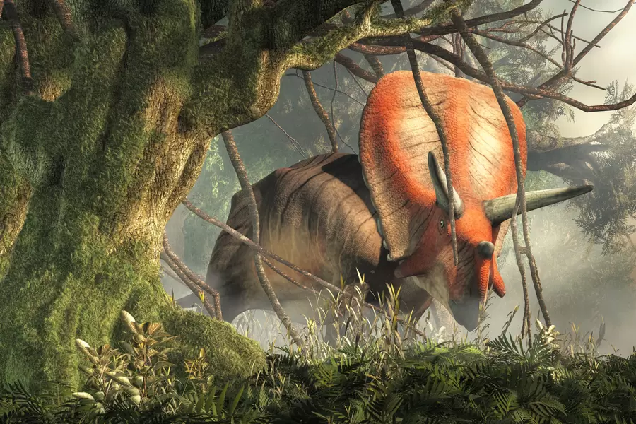 Torosaurus