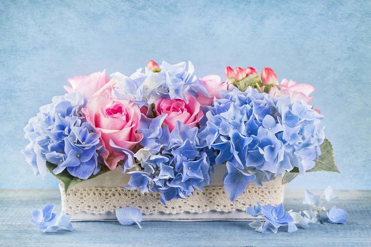 Bouquet of hydrangea and roses