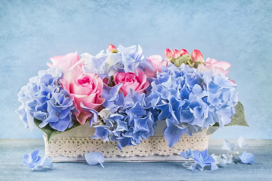 Bouquet de hortênsias e rosas