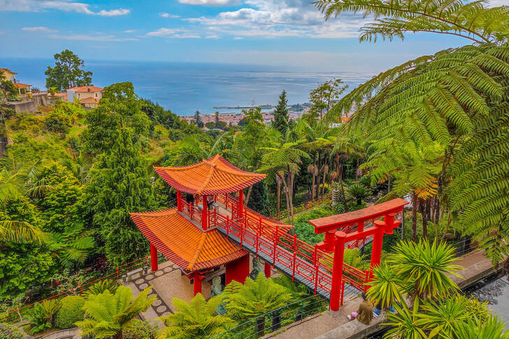 Tropisk trädgård av Monte Palace i Funchal