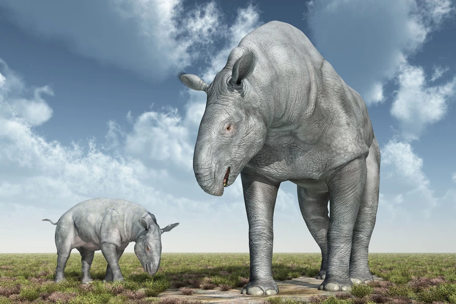 Indricotherium