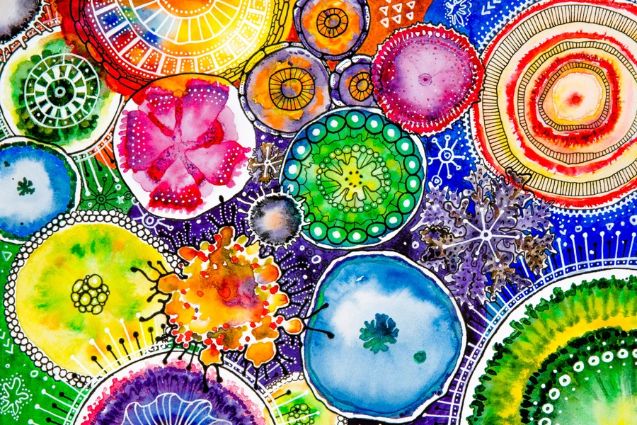 Bacterias multicolores y moho