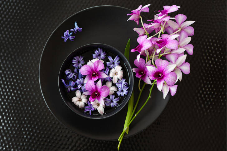 Orkidéer och hyacinter