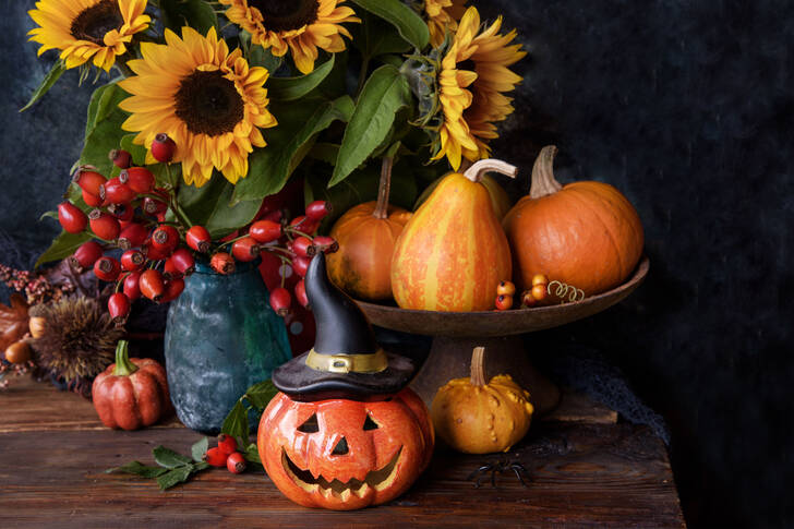 Pumpkins and sunflowers on the table