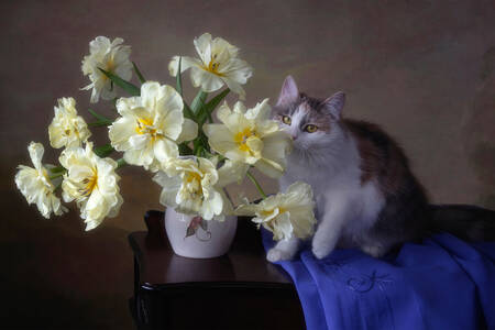 Bouquet di tulipani e un gatto