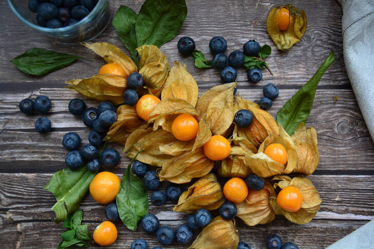 Blaubeeren und Physalis